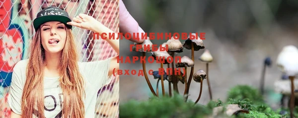 амф Абаза