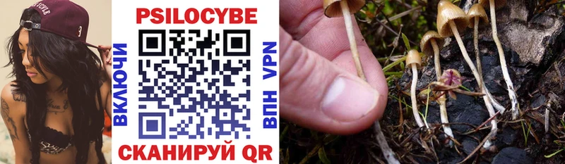 гидра сайт  Алагир  Псилоцибиновые грибы GOLDEN TEACHER  купить наркотики цена 